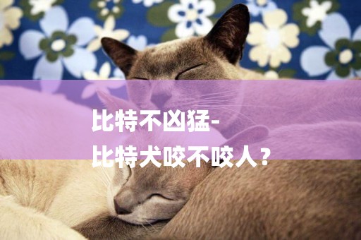 比特不兇猛-
比特犬咬不咬人？