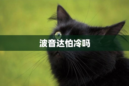波音達怕冷嗎