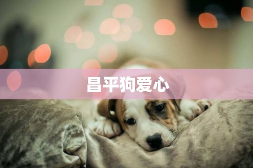 昌平狗愛心