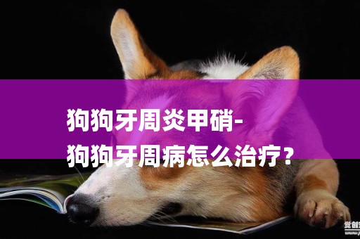 狗狗牙周炎甲硝-
狗狗牙周病怎么治療？
