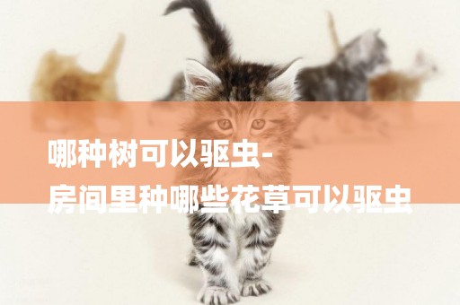 哪種樹可以驅蟲-
房間里種哪些花草可以驅蟲