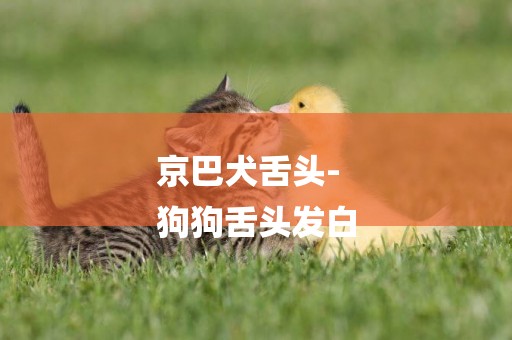 京巴犬舌頭-
狗狗舌頭發白