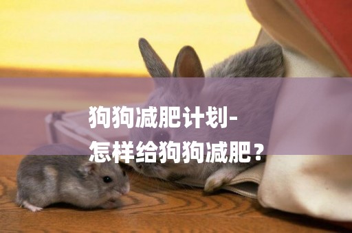 狗狗減肥計劃-
怎樣給狗狗減肥？