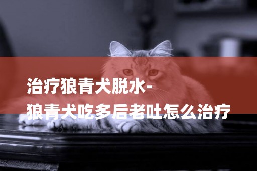 治療狼青犬脫水-
狼青犬吃多后老吐怎么治療