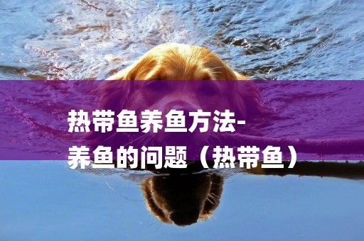 熱帶魚養魚方法-
養魚的問題（熱帶魚）