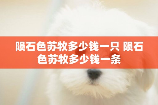 隕石色蘇牧多少錢一只 隕石色蘇牧多少錢一條