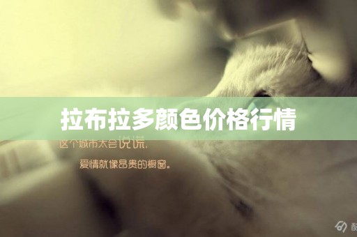 拉布拉多顏色價格行情