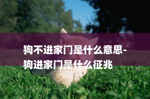 狗不進家門是什么意思-
狗進家門是什么征兆