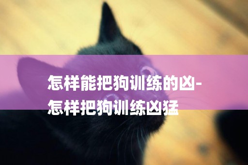 怎樣能把狗訓練的兇-
怎樣把狗訓練兇猛