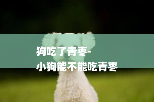 狗吃了青棗-
小狗能不能吃青棗