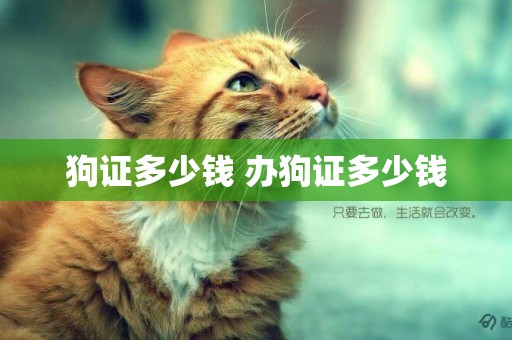 狗證多少錢 辦狗證多少錢