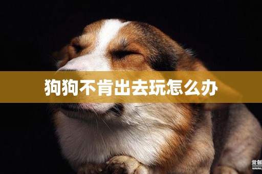 狗狗不肯出去玩怎么辦