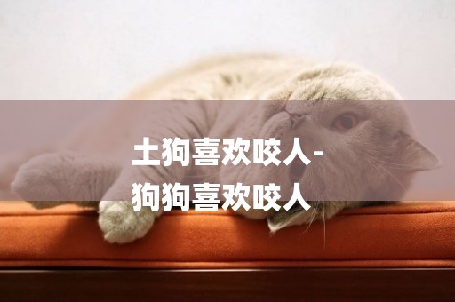 土狗喜歡咬人-
狗狗喜歡咬人