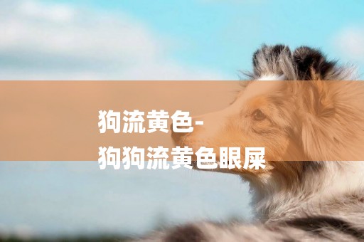 狗流黃色-
狗狗流黃色眼屎