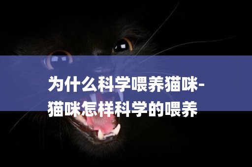 為什么科學喂養貓咪-
貓咪怎樣科學的喂養