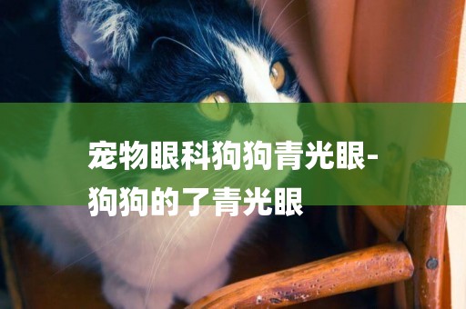 寵物眼科狗狗青光眼-
狗狗的了青光眼