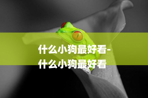 什么小狗最好看-
什么小狗最好看