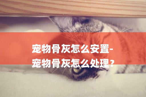 寵物骨灰怎么安置-
寵物骨灰怎么處理？