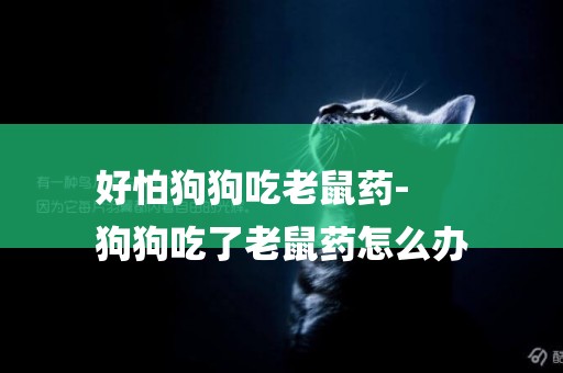 好怕狗狗吃老鼠藥-
狗狗吃了老鼠藥怎么辦