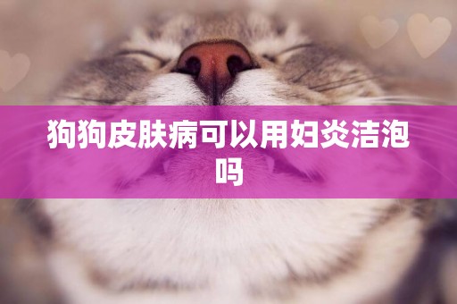 狗狗皮膚病可以用婦炎潔泡嗎