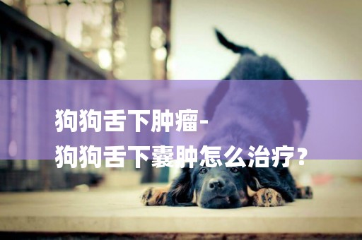 狗狗舌下腫瘤-
狗狗舌下囊腫怎么治療？