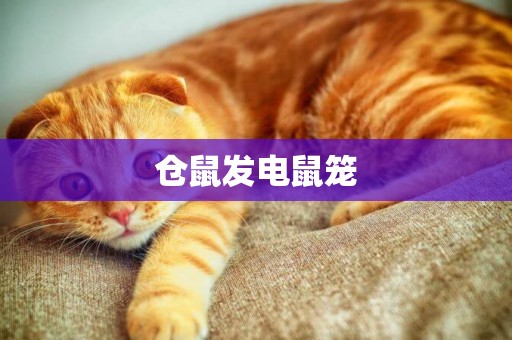 倉鼠發電鼠籠