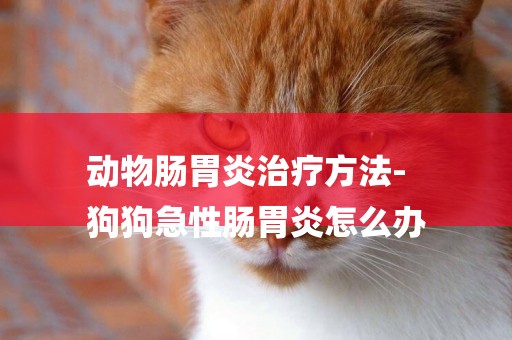 動物腸胃炎治療方法-
狗狗急性腸胃炎怎么辦