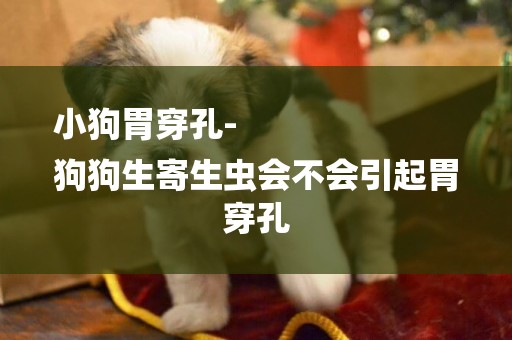 小狗胃穿孔-
狗狗生寄生蟲會不會引起胃穿孔