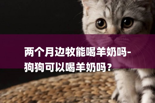 兩個月邊牧能喝羊奶嗎-
狗狗可以喝羊奶嗎？