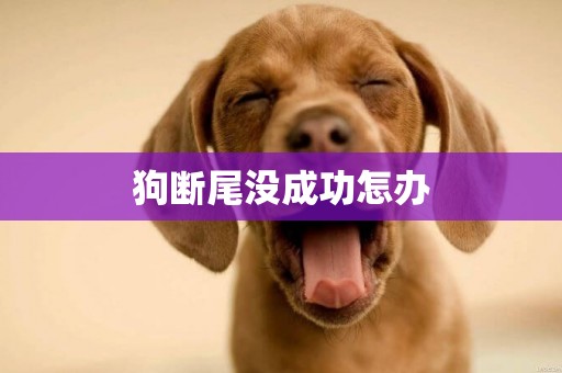 狗斷尾沒成功怎辦