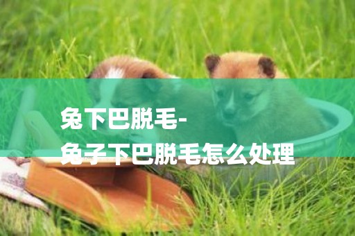 兔下巴脫毛-
兔子下巴脫毛怎么處理