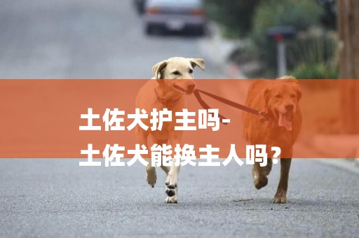土佐犬護主嗎-
土佐犬能換主人嗎？