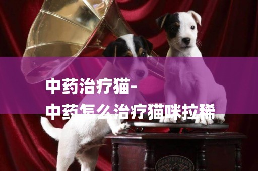 中藥治療貓-
中藥怎么治療貓咪拉稀