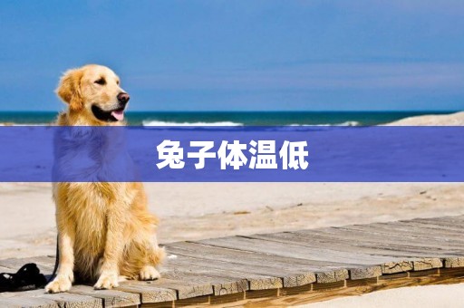 兔子體溫低