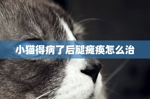 小貓得病了后腿癱瘓怎么治