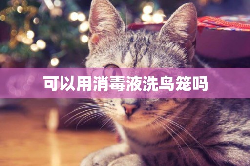 可以用消毒液洗鳥籠嗎