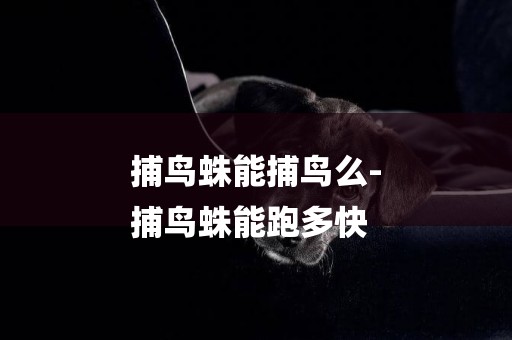 捕鳥蛛能捕鳥么-
捕鳥蛛能跑多快