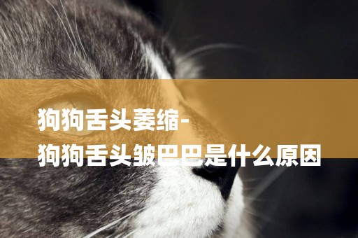 狗狗舌頭萎縮-
狗狗舌頭皺巴巴是什么原因