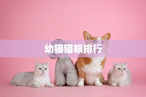 幼貓貓糧排行
