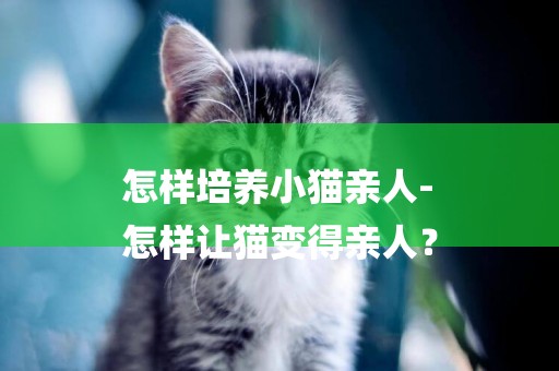 怎樣培養小貓親人-
怎樣讓貓變得親人？