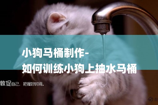 小狗馬桶制作-
如何訓練小狗上抽水馬桶