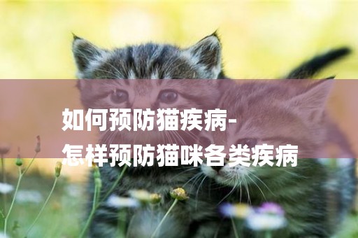 如何預防貓疾病-
怎樣預防貓咪各類疾病