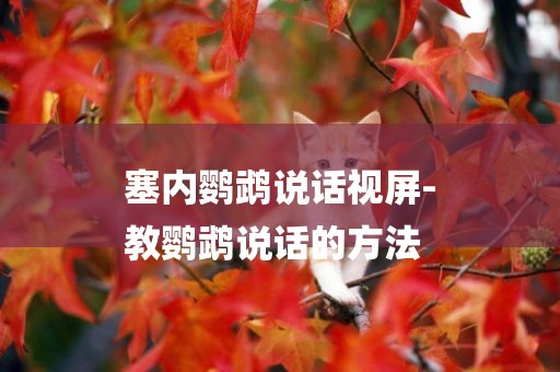 塞內鸚鵡說話視屏-
教鸚鵡說話的方法