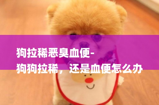 狗拉稀惡臭血便-
狗狗拉稀，還是血便怎么辦