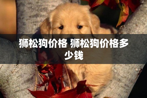 獅松狗價格 獅松狗價格多少錢