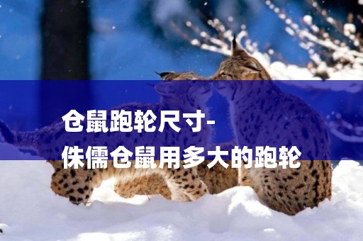 倉鼠跑輪尺寸-
侏儒倉鼠用多大的跑輪