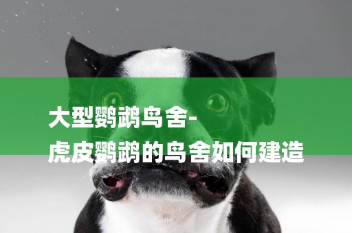 大型鸚鵡鳥舍-
虎皮鸚鵡的鳥舍如何建造