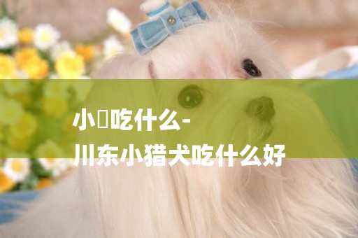 小獚吃什么-
川東小獵犬吃什么好