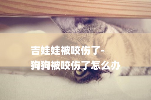 吉娃娃被咬傷了-
狗狗被咬傷了怎么辦