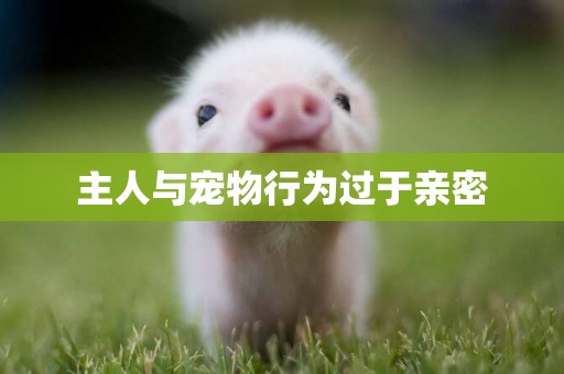 主人與寵物行為過于親密